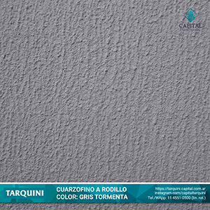 Gris Tormenta