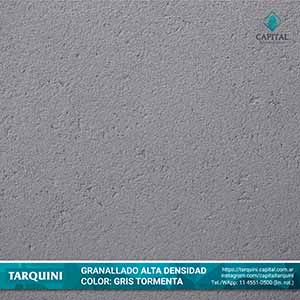 Gris Tormenta