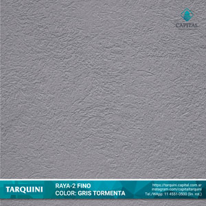 Gris Tormenta