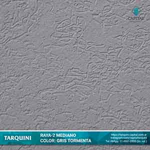 Gris Tormenta